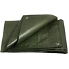 Festa PE Covering Tarp, 2x8 m, 200 g/m2, Žalias