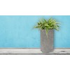 G21 Doniczka G21 Natur Tube 30x60x30
