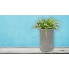 Šakotuvas Flower pot G21 Natur Tube 40 x 82 x 40