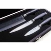 Peilių rinkinys G21 Gourmet Damascus 60022168, 3 vnt