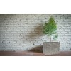 G21 Doniczka G21 Natur Box 71x51x30