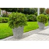 G21 Doniczka G21 Natur Plump 44x61x44