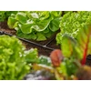 Gardena Micro-Drip sistema 13211-20 - 10 vnt.