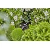 Laikiklis Gardena Pipe Holder 4.6 mm