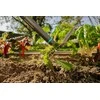 Gardena Gardena FSC 100% Gartenhacke
