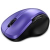 Pelės Genius Ergo 8200S violetinė (31030029402)