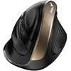 Genius Pelė Ergo Pelė 8250S, 1600DPI, 2,4 [GHz], optinė, 6 klasė, bevielė, juoda ir auksinė, 1 vnt AA, vertikali