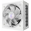 GIGABYTE AORUS ELITE P1000W 80+ Platinum PCIe 5.1 ICE