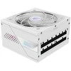GIGABYTE AORUS ELITE P850W 80+ platininis modulinis ledo maitinimo šaltinis