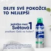 Gillette Series Sensitive Foam 250ml