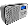 GoGEN DAB 300 N
