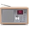 GoGEN DAB620BTCS