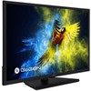 Televizorius GoGEN TVF32M340STWEB