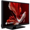 Televizorius GoGEN TVH24P352T
