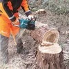 Grandininis pjūklas akumuliatorinė pilarka grandininis 40cm, 40V max, Makita [UC023GZ] Li-Ion, XGT