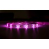 IMMAX NEO LITE SMART LED strip/ 48W/ Wi-Fi/ IP65/ RGB/ CCT colour/ 406lm/m/ 2700-6500K/ dimmable/ DO+Music/ 10m/ TUYA