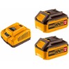 Ingco FBCPK1424E Set charger + 2pcs battery 4,0A for 20V Li-ion battery