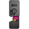 KYOCERA 1T0C22BNL0 dažų kasetė 1 vnt