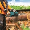 Akumuliatorinis grandininis pjūklas Makita LXT® DUC357ZX3 | 18 V | 35 cm | be akumuliatoriaus ir pakrovėjo