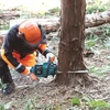 Makita UC021GZ akumuliatorinis grandininis pjūklas, 40Vmax XGT, BL variklis TLS, 300 mm, 25,5 m/s, be akumuliatoriaus ir kroviklio