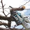 Šakų genėjimo grandininis pjūklas Makita UC100DWA01; 12 V; 1x2,0 Ah akum.; 10 cm juosta