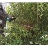Makita akumuliatorinės žirklės UH006GM201 60 cm