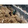 METABO SP 120-35 S panardinamasis siurblys nešvariam vandeniui (601794000)