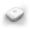 Ausinės Motorola MOTO BUDS GLACIER Mėlynas