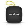 Niceboy RAZE Mini 4