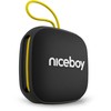 Niceboy RAZE Mini 4