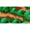 Super Mario RPG – Nintendo Switch