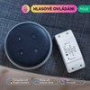 Išmanusis ZigBee jungiklis L6Z, 1 kanalo, 230V 2200W, TUYA / Smart Life, NOUS