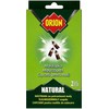 Orion Natural baits for food moths 2pcs