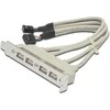 Assmann Electronic ASSMANN USB lizdo laikiklio kabelis 4x tipo A-2x10 kontaktų IDC F/F 0,25 m USB 2.0 suderinamas