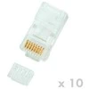 DATACOM kištukas UTP CAT6 8p8c-RJ45 kabelis