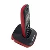Telefonas bev. Panasonic KX-TG1611FXR