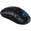 Pelė ENDORFY LIV Wireless