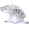 Pelė ENDORFY LIV Plus Wireless Onyx Baltas