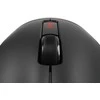 Genesis ZIRCON 500 G2 | Pelė žaidimams | Wireless/su laidu | 2.4 GHz, Bluetooth, USB | Juodas