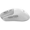 Genius NX-8260S Bevielė pelė, balta ir-pilka, 2400DPI