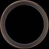PIRELLI CINTURATO™ Velo TLR Classic 700x28c dviračio padanga