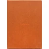 Dėklas PocketBook POCKETBOOK magnetinis dėklas „folio cover“, skirtas „InkPad One“ (PB1030), tamsiai oranžinis