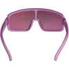 R2 INVADER AT044J Sports Sunglasses
