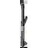RockShox Domain Gold Isolator RC3 - Crown 29" Boost 15x110 160mm Juodas Alum Str C1