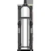 RockShox Domain Gold Isolator RC3 - Crown 29" Boost 15x110 160mm Juodas Alum Str C1