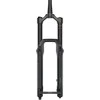 RockShox ZEB Select Charger RC - Crown 29" Boost 15x110 170mm, matte juodas, Alum / A2 suspension fork