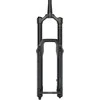 RockShox ZEB Select Charger RC - Crown 29" Boost 15x110 180mm, matte juodas, Alum / A2 suspension fork