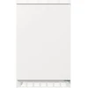 Šaldytuvas Gorenje RBIU48E21