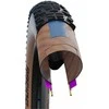 Padanga 29" Schwalbe Racing Ralph HS 490 Evo Fold TLE 57-622 / 29x2.25 Super Ground Addix Speed