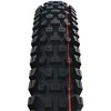 Schwalbe tire Albert 29x2.60 GRAVITY PRO TLR AddixSoft radial folding